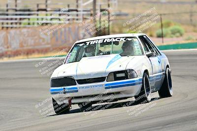 media/May-11-2025-Cobra Club (Sun) [[44ca44ec33]]/Passenger/